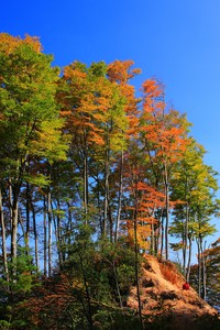 曼联主场遭遇连败，主力球员伤停无力回天！