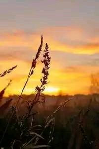 当实力悬殊时的足球观赛新视角