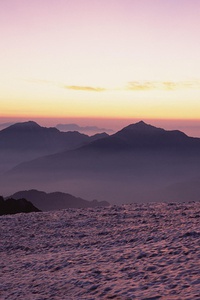 防守硬汉掀翻攻击猛兽，无比激动
